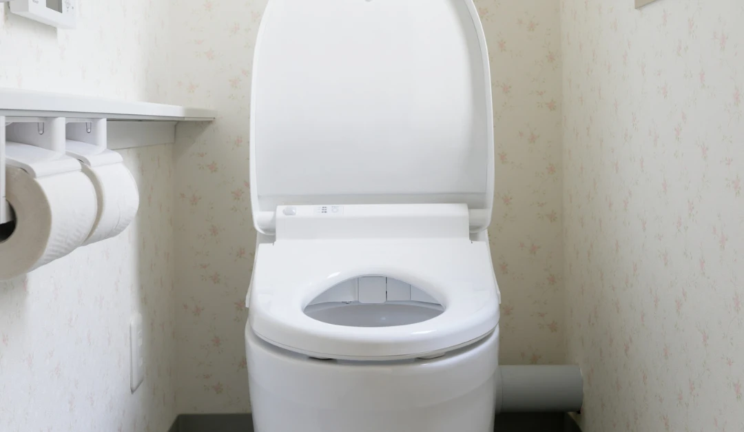What Does a Healthy Bowel Movement Look Like? Understanding Digestive Health Beyond “Going”