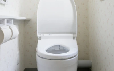 What Does a Healthy Bowel Movement Look Like? Understanding Digestive Health Beyond “Going”