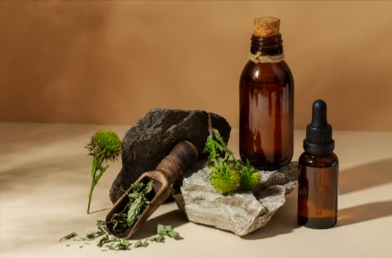 Natural herbal remedies and tinctures used in naturopathic practice for holistic healing and wellness support